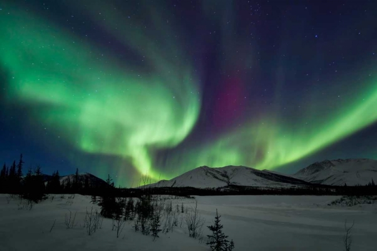 Picture of AURORA BOREALIS I