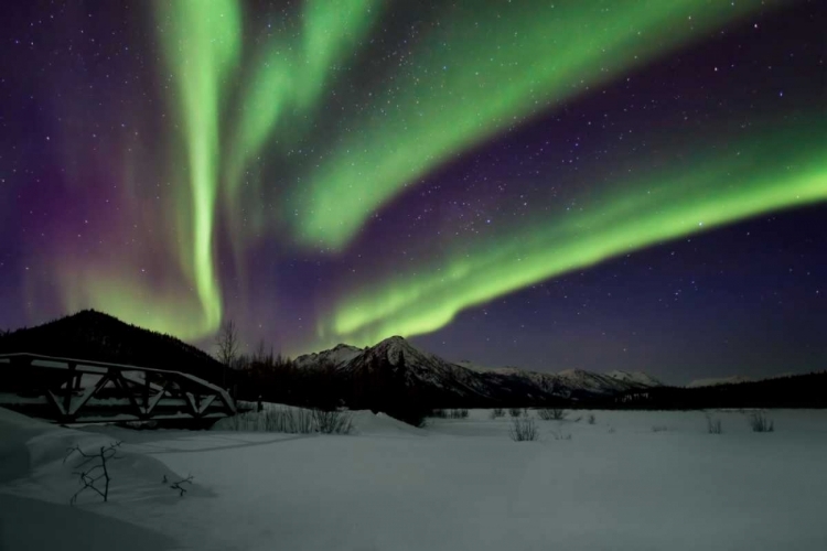 Picture of AURORA BOREALIS IV