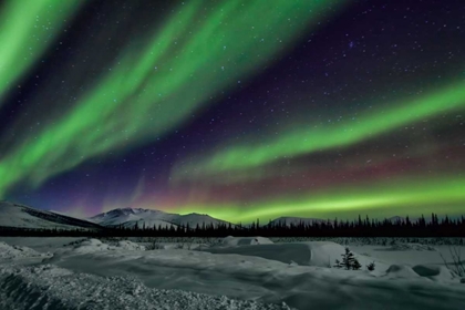 Picture of AURORA BOREALIS V