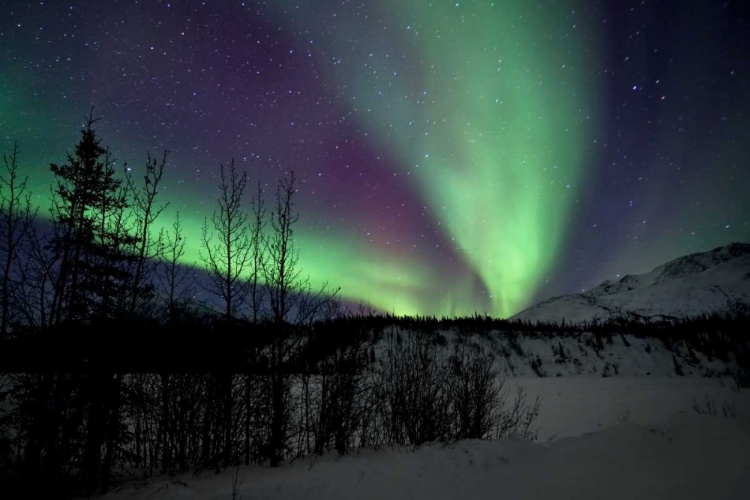 Picture of AURORA BOREALIS VII