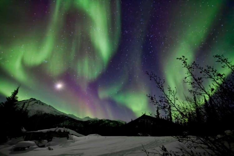 Picture of AURORA BOREALIS VIII