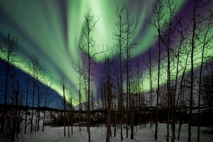 Picture of AURORA BOREALIS IX