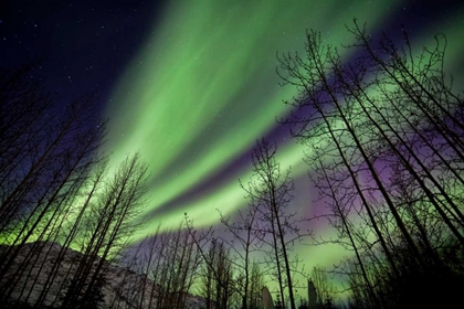 Picture of AURORA BOREALIS XI