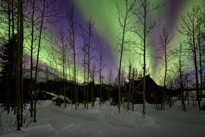 Picture of AURORA BOREALIS XII