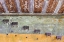 Picture of ABSTRACT PAINT IV
