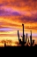 Picture of SKY A FIRE II