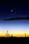 Picture of MOONRISE
