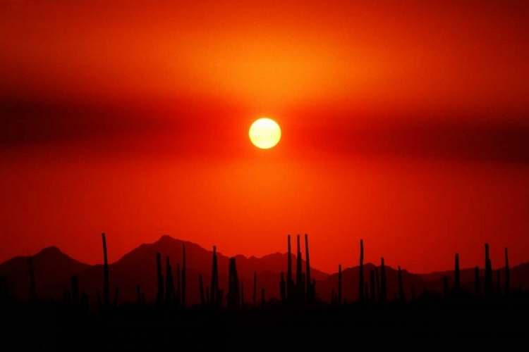 Picture of SMOKEY SUNSET