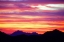 Picture of LINGERING COLOR