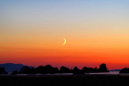 Picture of CRESCENT AT SUNSET
