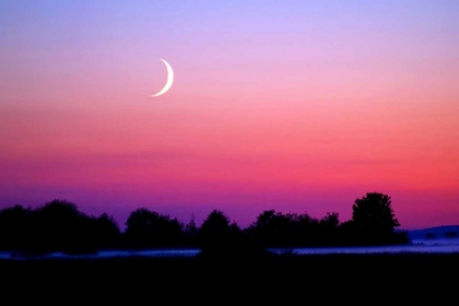 Picture of CRESCENT AT TWILIGHT