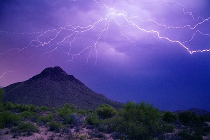 Picture of MOUNTAIN LIGHTNING
