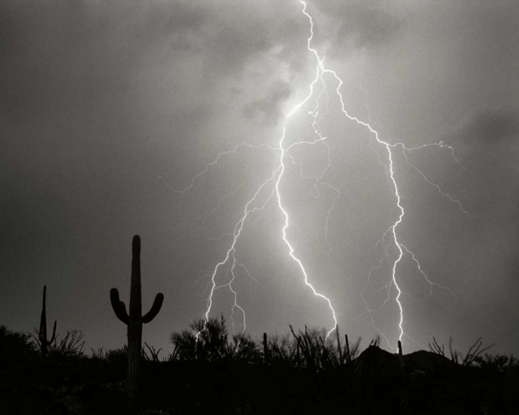 Picture of ELECTRIC DESERT I - BW