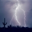 Picture of ELECTRIC DESERT III