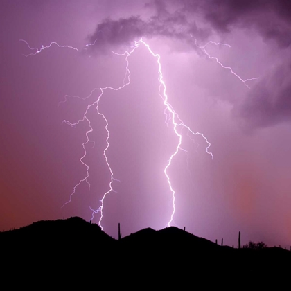 Picture of SUMMER LIGHTNING I