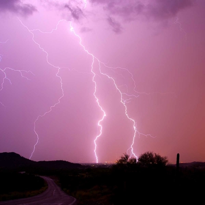 Picture of SUMMER LIGHTNING II