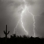 Picture of ELECTRIC DESERT III - BW