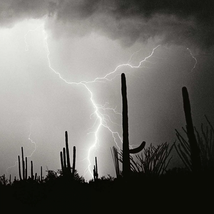 Picture of ELECTRIC DESERT IV - BW