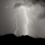 Picture of SUMMER LIGHTNING I - BW