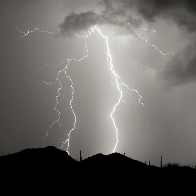 Picture of SUMMER LIGHTNING I - BW