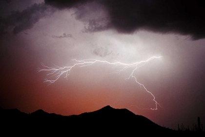 Picture of MOUNTIAN LIGHTNING