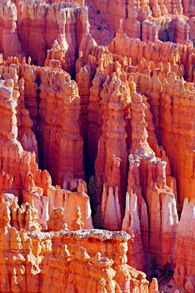 Picture of HOODOOS AT DAWN