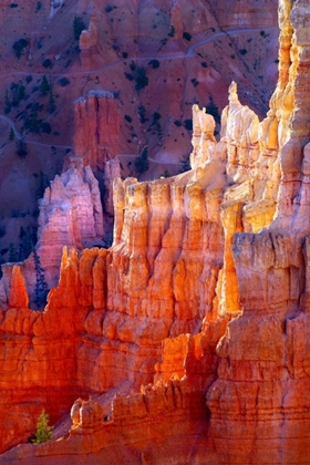 Picture of BRYCE CANYON DAWN