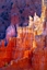 Picture of BRYCE CANYON DAWN