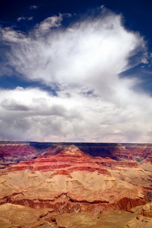 Picture of GRAND CANYON II