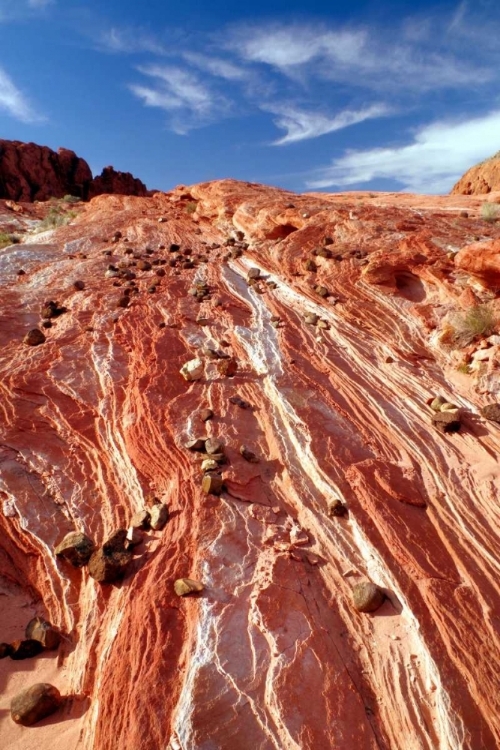 Picture of APACHE SANDSTONE