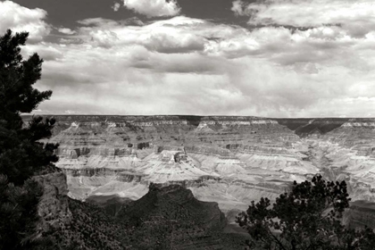 Picture of GRAND CANYON SKIES BW