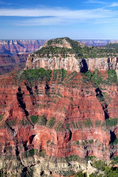 Picture of OZA BUTTE PORTRAIT