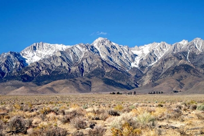 Picture of SIERRA NEVADA MOUNTAINS I