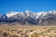 Picture of SIERRA NEVADA MOUNTAINS I