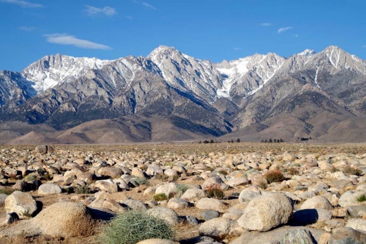 Picture of SIERRA NEVADA MOUNTAINS II