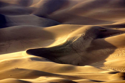 Picture of GREAT SAND DUNES I