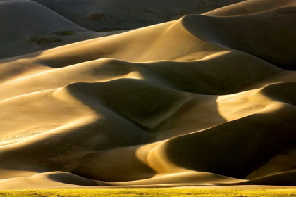 Picture of GREAT SAND DUNES II