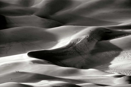 Picture of GREAT SAND DUNES I BW