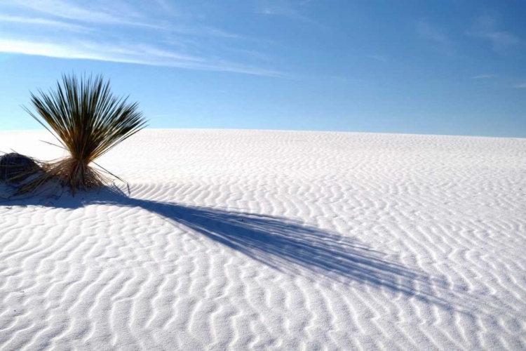 Picture of SAND SHADOWS I