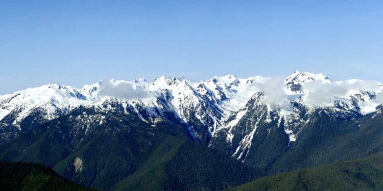 Picture of HURRICANE RIDGE VISTA