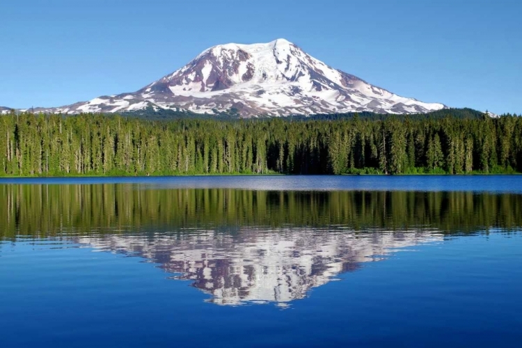 Picture of MT. ADAMS