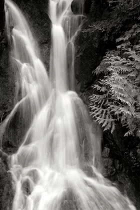 Picture of FALLING WATER I BW