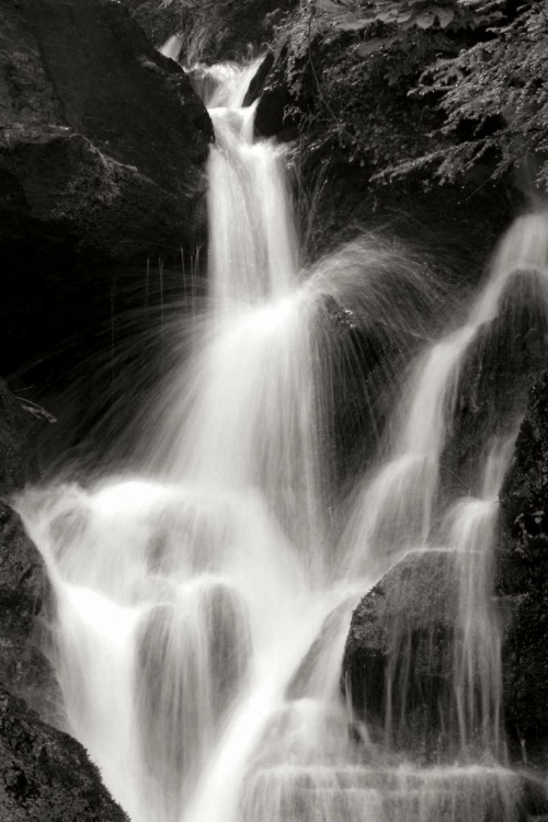 Picture of FALLING WATER II BW