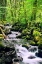 Picture of SNOWMELT