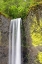 Picture of LATOURELL FALLS