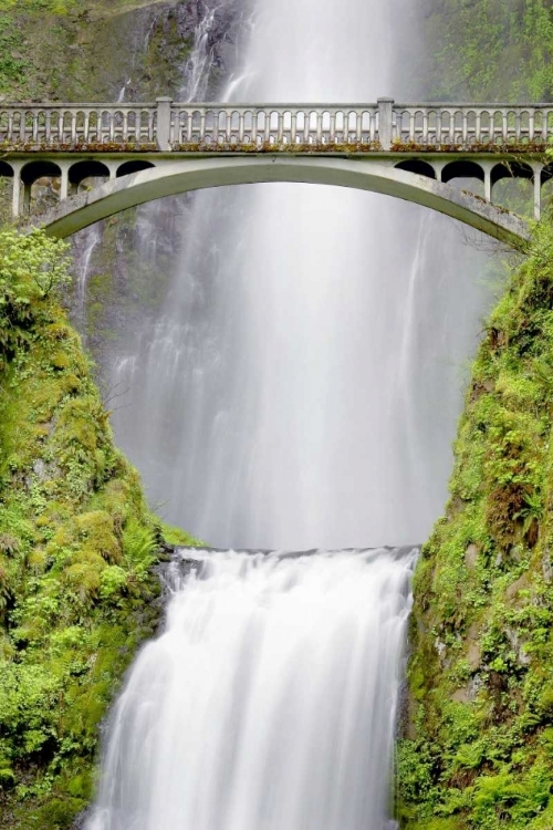 Picture of WATER UNDER THE BRIDGE