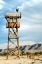Picture of MANZANAR GUARD TOWER
