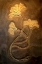 Picture of CRINOIDS I