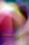 Picture of CHAOS OF COLOR