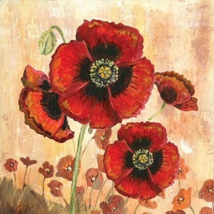 Picture of BIG RED POPPIES I